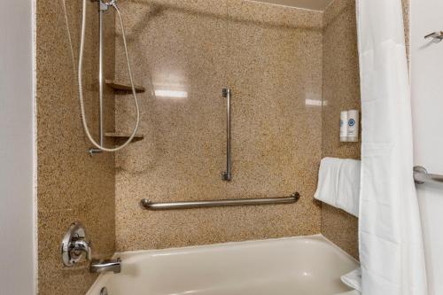 Badkamer, Comfort Inn Plano-Dallas in Plano