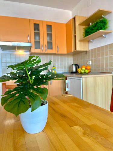 One-Bedroom Apartment with Balcony and Sea View image 10