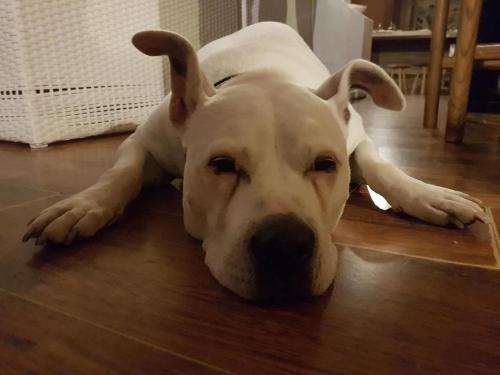  Bed & Breakfast Bellagio in Bellagio