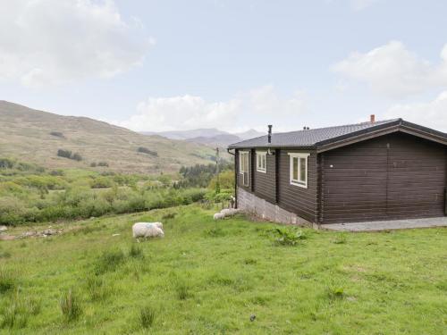 Snowdon Vista Cabin