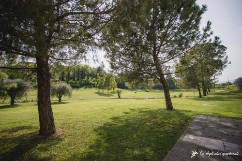 Garden, Ca' degli Ulivi - Oliva Verde in Creazzo