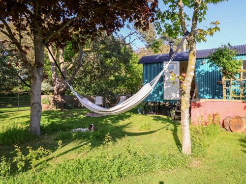 Shepherds Hut at The Hollies