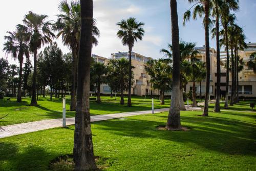 The Perfect Front Beach