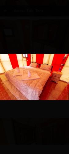 Nomadic luxury camp