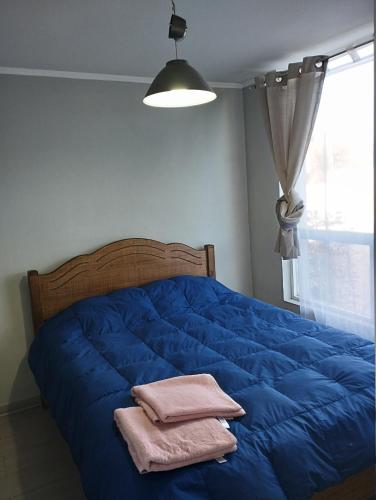 Departamento 1 Dormitorio 1 Baño Valparaíso
