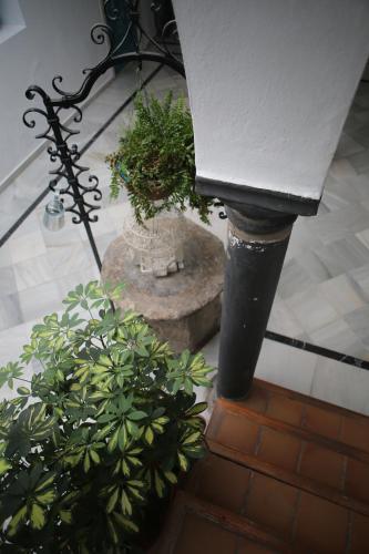 Wake up in Tarifa Hostel & Restaurant Lounge - image 5