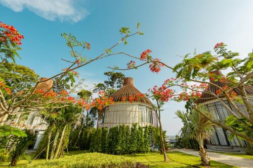 Bird Nest Villas by Mafiya