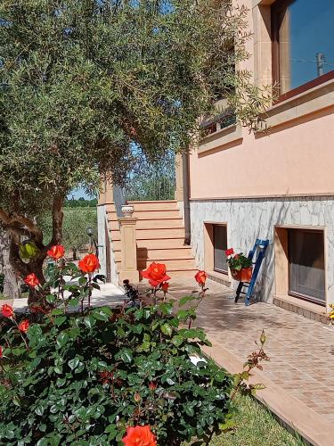  Il Poggetto Marzamemi B&B, Unterkunft in Marzamemi