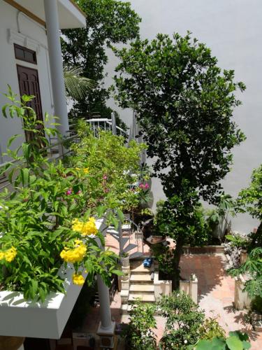 Exterior view, Moon house tropical garden - Coconut in Vĩnh Trường
