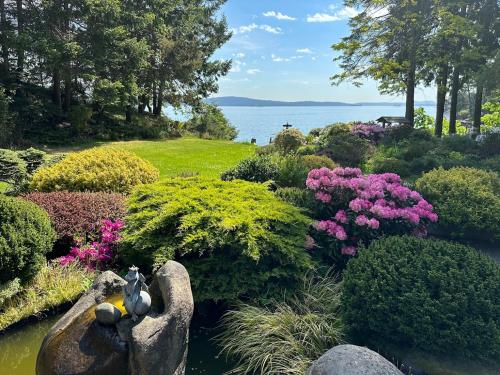 Monet's Pond by the Sea