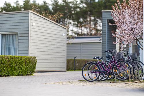 Holiday Home image 10