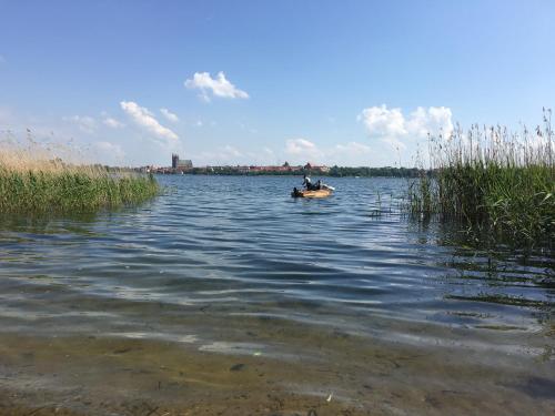 Rosalee in Oberuckersee Ot Seehausen