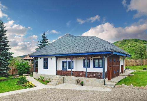 Viesnīcas āriene, MAGNETIC HOUSE in Tirgu Okna