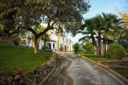 Finca La Lola - Large House with private pool