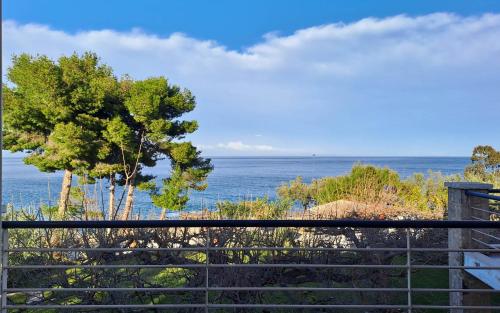 정원, Nama Beach House in 아르카디코 초리오