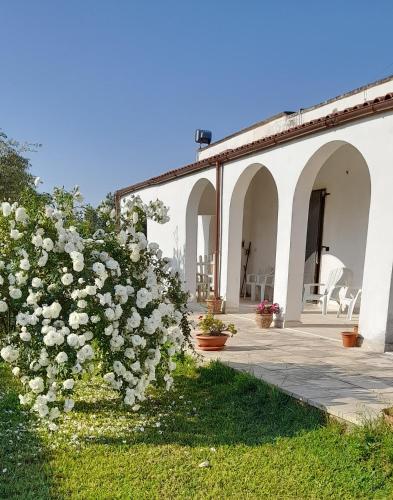  Li tufi Salento casa vacanze Puglia in Monteroni di Lecce