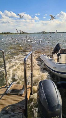 Danube Delta Houseboat