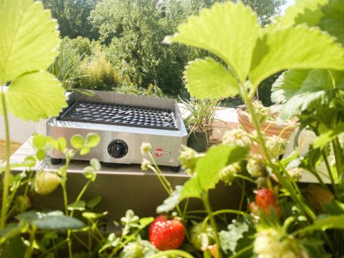 L'Olympique: appartement cosy, vue canal grande terrasse et parking