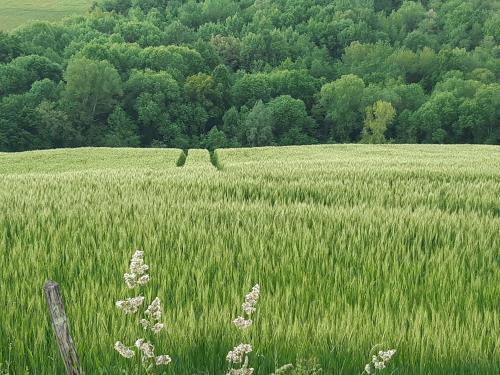 BnB Ferme Beauregard Les Pyrénées