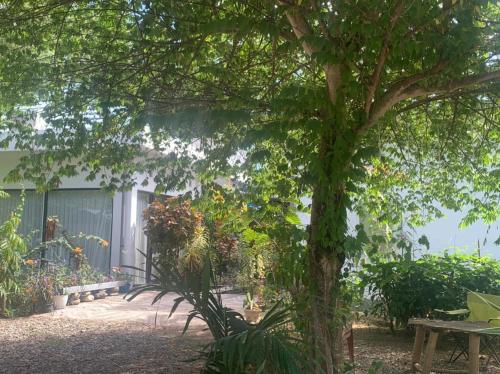 B@B Omaherma Home stay in 낭아메세