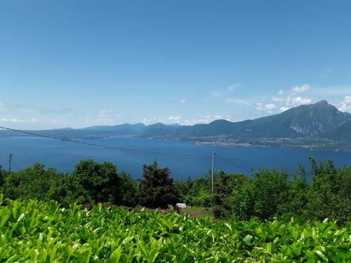  Residence Spighetta 2 in Torri del Benaco