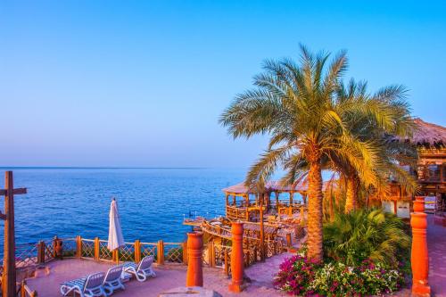 Pickalbatros Golf Beach Resort - 해변