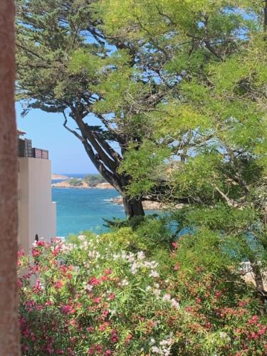 Superbe appartement accès direct plage de Renecros parking privatif clos Tout à pied - Apartment - Bandol