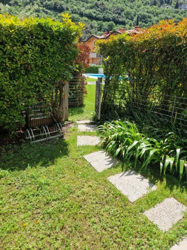 Garden & Pool Perugini photo 3