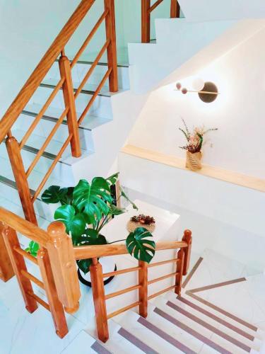 Juyixia B&B