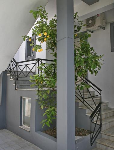 Omgeving, Princess Studios Mitilini near Mytilene International Airport