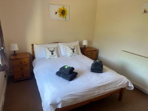 Rowan Cottage Wanlockhead Dumfries & Galloway in Wanlockhead