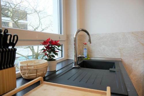 ห้องครัว, Mein Apartment, Stars mit Balkon und Klima für bis zu 4 Personen (Mein Apartment, Stars mit Balkon und Klima fur bis zu 4 Personen) in ฟรังเคนทาล (พฟัลซ์)