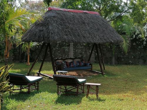 Bahçe, Swahili Oasis in Mombasa