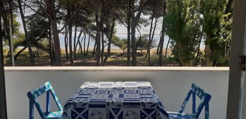 Cerrano 46
