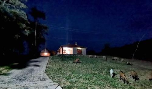 . Šumadijska panorama