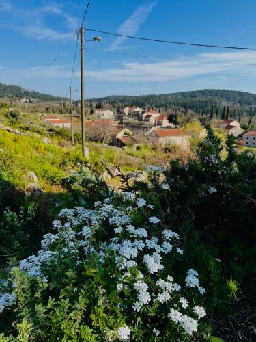 Country House Bakicevo - image 4