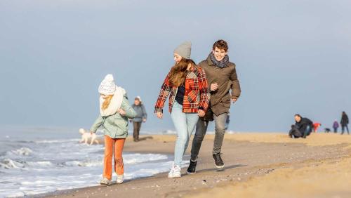 Molecaten Park Noordduinen - image 5