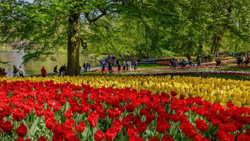Molecaten Park Noordduinen - image 6