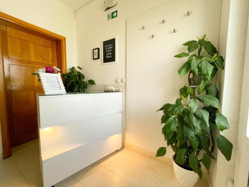 Villa Kovacevic - image 3