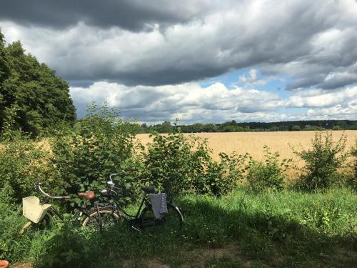 Annemarie Zerpenschleuse - Schwedenhaus mit Künstler-Charme und Sauna Annemarie Zerpenschleuse - Schwedenhaus mit Künstler-Charme und Sauna