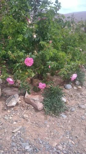 Kasbah Tialouite Kasbah Tialouite