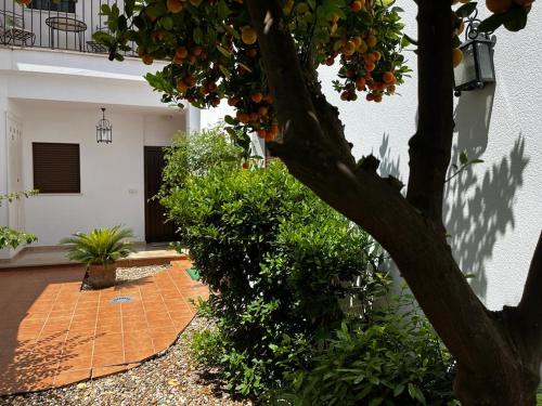 Acogedor apartamento junto a plaza de San Agustin