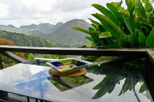 The Cottages - Unit 2, Soufrière (photo 10)