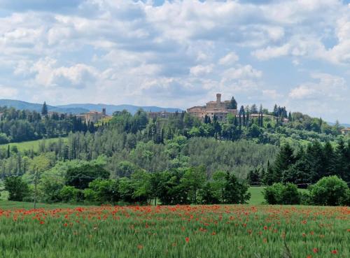 La casina di Bonucci