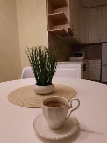 Apartman ANĐELA