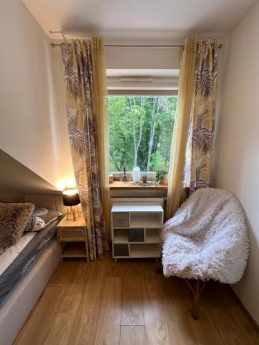Comfort Zone Ostroda BOHO SCANDI CITY & LAKE - image 2