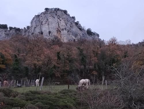 HOTEL RURAL LA ENGAÑA