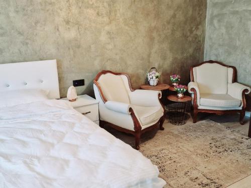 Vila N&N Palace - Chambre d'hôtes - Bistriţa Bîrgăului