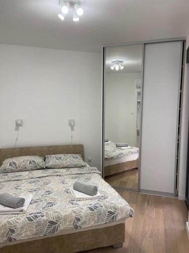 One-Bedroom Apartment image 10