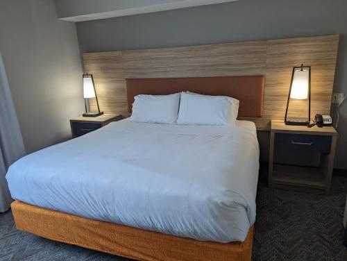 1 king bed, 1 sofa bed